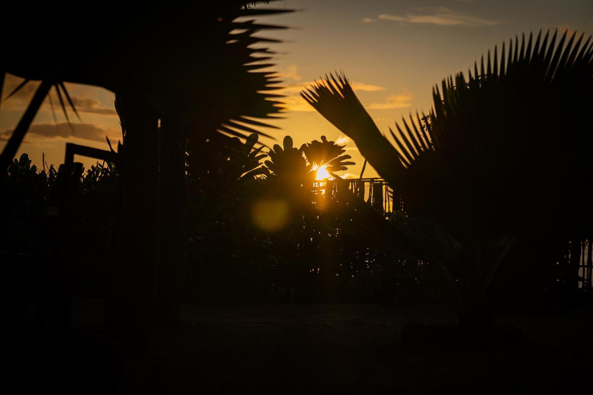 Pili Pili Beach Bungalows Джамбиани Екстериор снимка